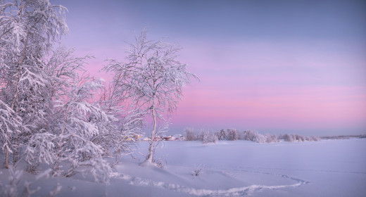 1001189 (a): :2048x1102